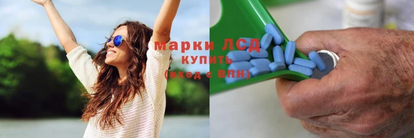 экстази Дмитриев