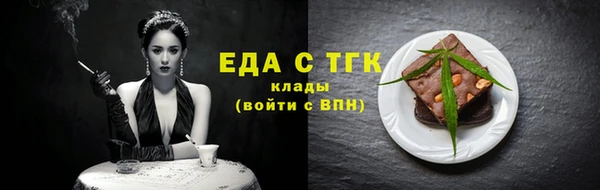 тгк Дмитров