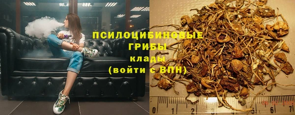 экстази Дмитриев
