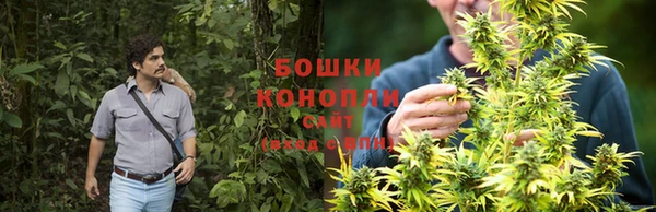 экстази Дмитриев
