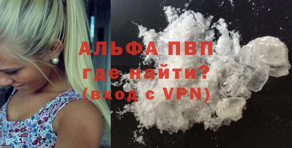 тгк Дмитров
