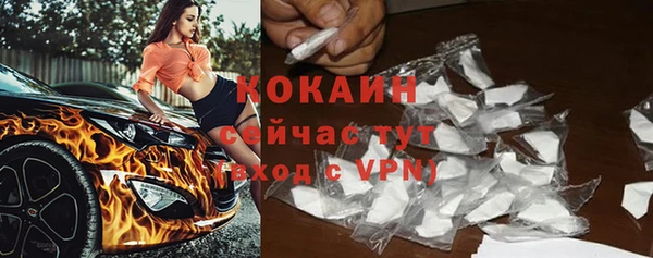 тгк Дмитровск