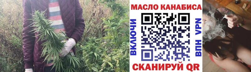 Дистиллят ТГК THC oil  где купить наркоту  Жуков 