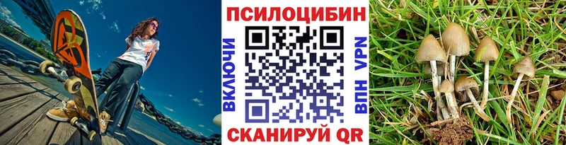 Галлюциногенные грибы Psilocybine cubensis  сколько стоит  Жуков 